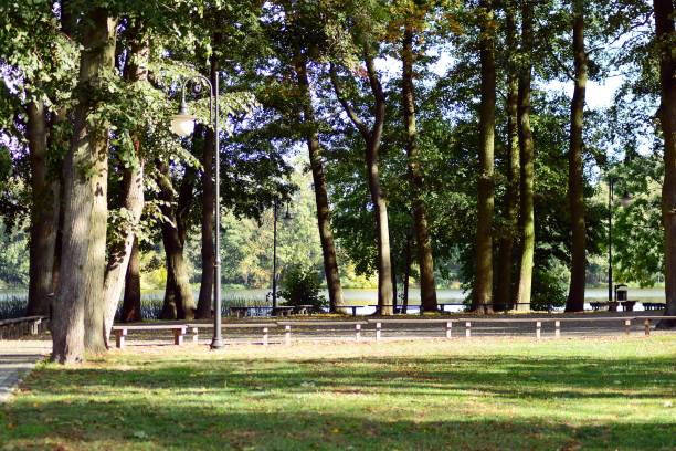 istock Beautiful park in the medieval city 1054475550