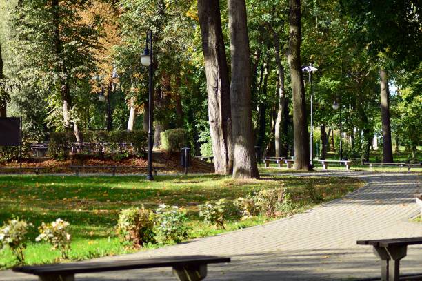 Beautiful park in the medieval city