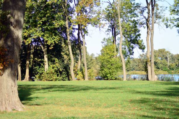 The inside landscape of the International Training Centre of the International Labour Organization (ITCILO), an innovative United Nations campus based in Turin, Italy. In 2014, the ITCILO earned an EcoCampus award from the Foundation for Environmental Education. The certificate affirms the Centre's long-term commitment to sustainable practices on campus and sustainability-focused educational initiatives.
