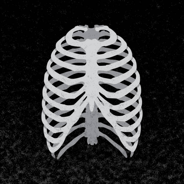 Rib Cage X-Ray Icon Vector illustration of a rib cage against a black background with texture. sternum stock illustrations
