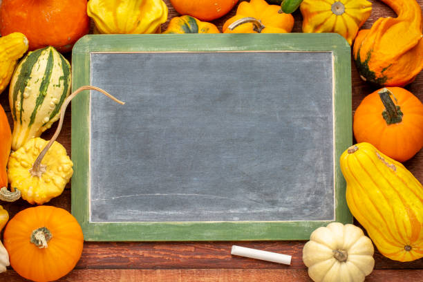 istock blank blackboard with squash and gourd 1054503310