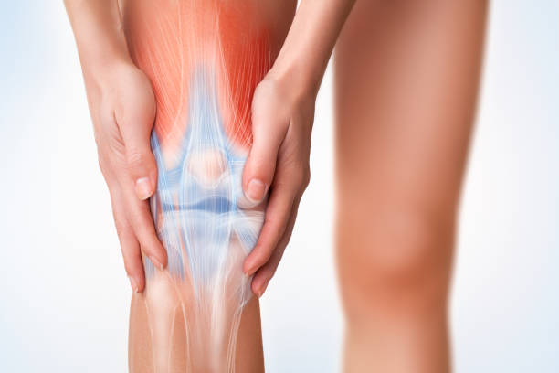 Knee pain area. Women's leg painful zone. tendon stock pictures, royalty-free photos & images