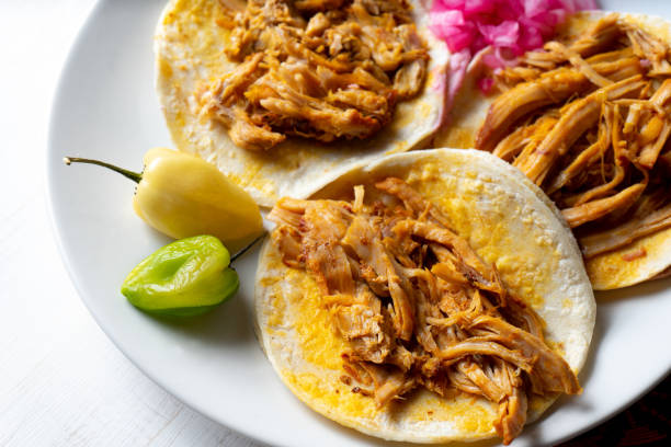 istock Mexican cochinita pibil tacos 1054511710