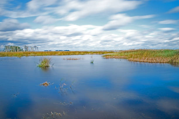 istock Scenic view of march with beautiful cloudscape 1054513440