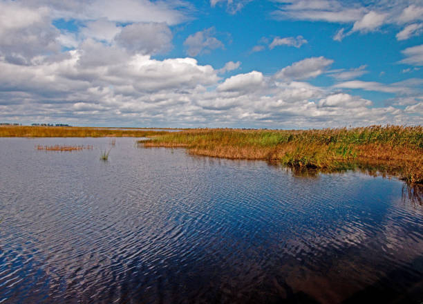 istock Scenic view of water and marsh grass with beautiful sky and cloudscape 1054513468