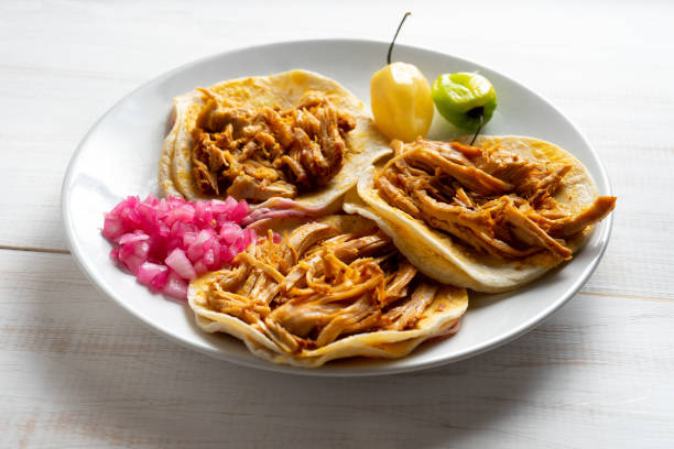 istock Mexican cochinita pibil tacos 1054514746