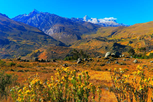 istock Idyllic Cordillera Blanca dramatic landscape - Ancash Andes, Peru 1054526762