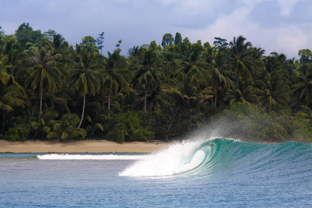 Wave Photo of a wave in Indonesia. Mentawai Islands stock pictures, royalty-free photos & images