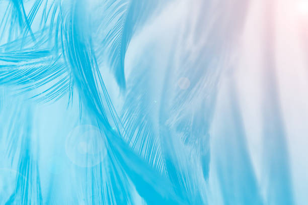 istock Beautiful blue vintage color trends feather texture background with orange light 1054535630