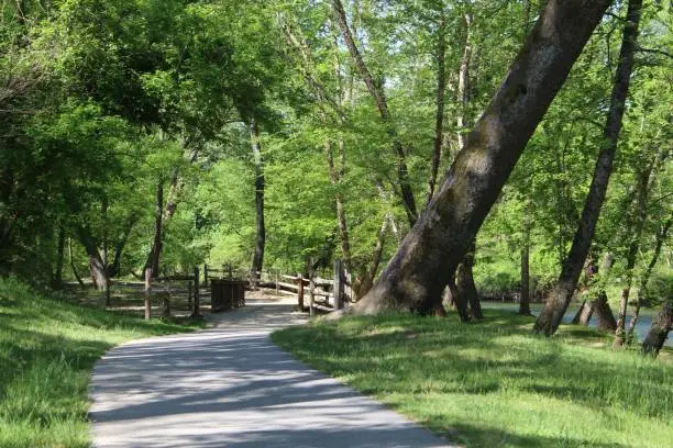 Walking path along French Broad river in Marion North Carolina.
