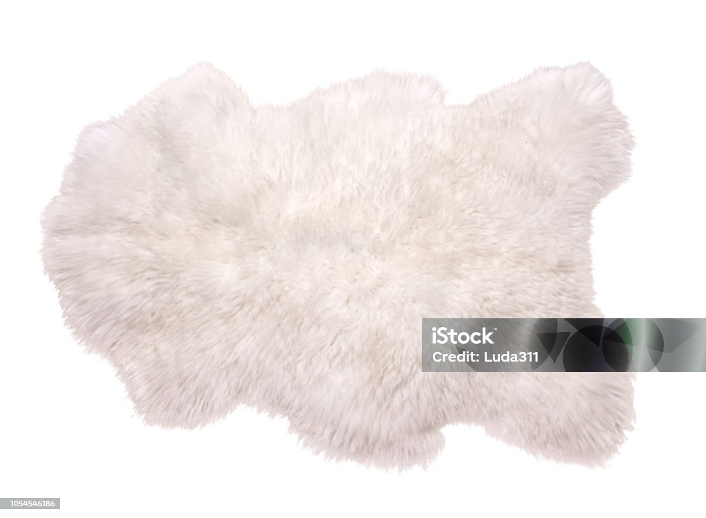 Beautiful white sheepskin isolated on white background. Warm carpet. Rug Stock Photo
