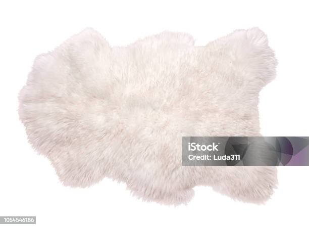 Beautiful White Sheepskin Isolated On White Background Warm Carpet Stock Photo - Download Image Now