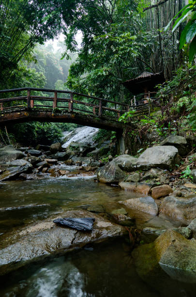 istock Beautiful in nature,amazing cascading tropical waterfall surrounded by green forest 1054548626