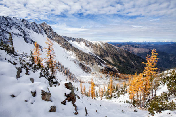 istock Golden Larches at Frosty Mountain, BC, Canada 1054550112