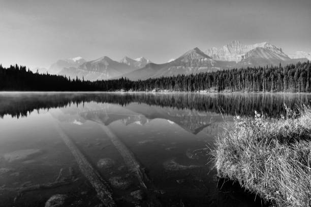istock Herbert Lake Banff National Park 1054553182