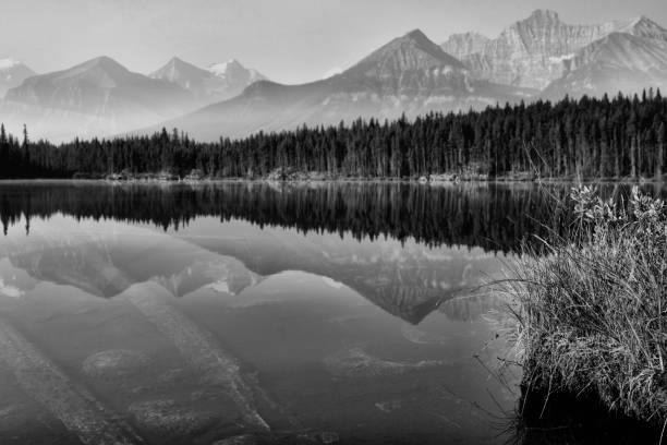 istock Herbert Lake Banff National Park 1054553408