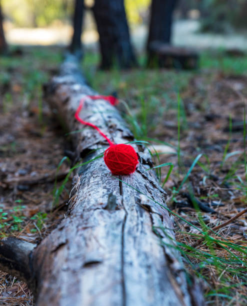 istock red wool ball lies on a tree trunk 1054553586