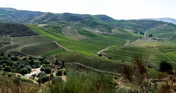 Photo of Coa River – View of the Valley