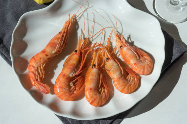 istock Dish with seafood on white background and cloth napkin in bright sunlight. 1054559400