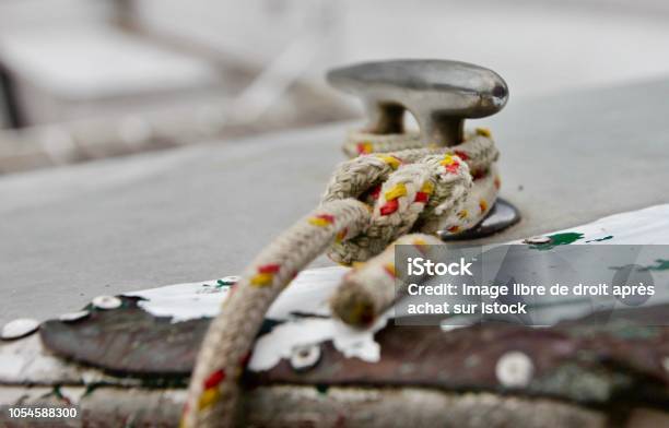 Sea Knot Stock Photo - Download Image Now - Close-up, Horizontal, Italy