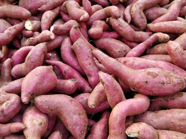 istock Fresh Sweet Potatoes Yams 1054591442