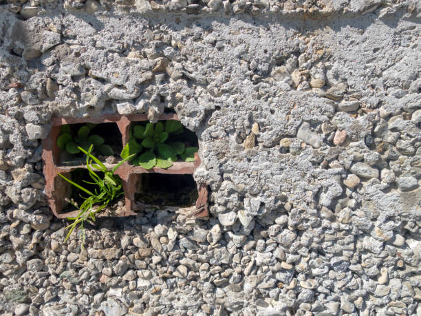 istock Wall made of various small stones with a small iron window without glass on the left 1054602898
