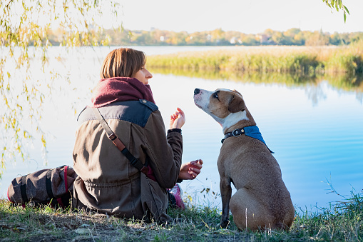 Young dog sits and listens to her female owner in beautiful nature near a lake