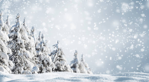 istock snowy winter forest landscape background 1054614550