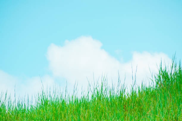 istock High rise into the sky, bright colors, vintage. 1054616700