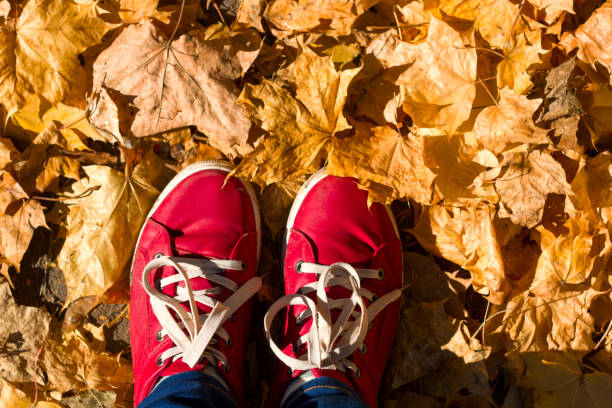 istock red sneakers on a yellow autumn leaves 1054618692