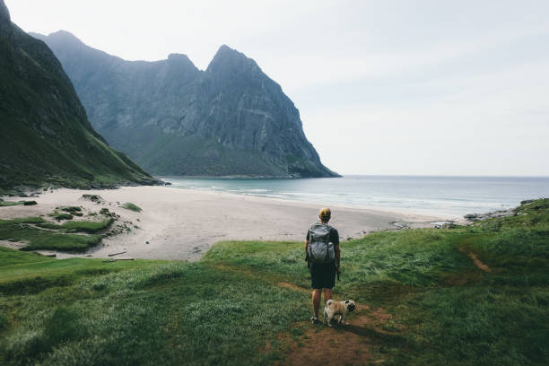 woman and dog hiking kvalvika beach on lofoten islands - dog tranquil scene pets animals and pets imagens e fotografias de stock