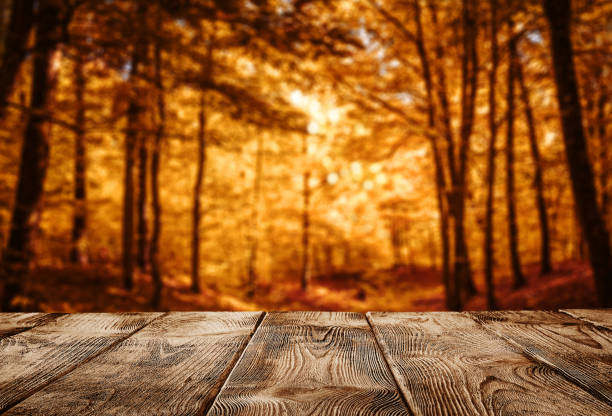 Autumn background Autumn background, close up of old empty wooden table over the lake with copy space fall picnic table stock pictures, royalty-free photos & images