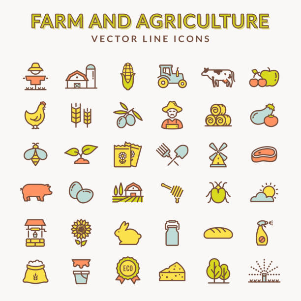 illustrazioni stock, clip art, cartoni animati e icone di tendenza di icone di contorno color fattoria e agricoltura. vettore. - farina insetti