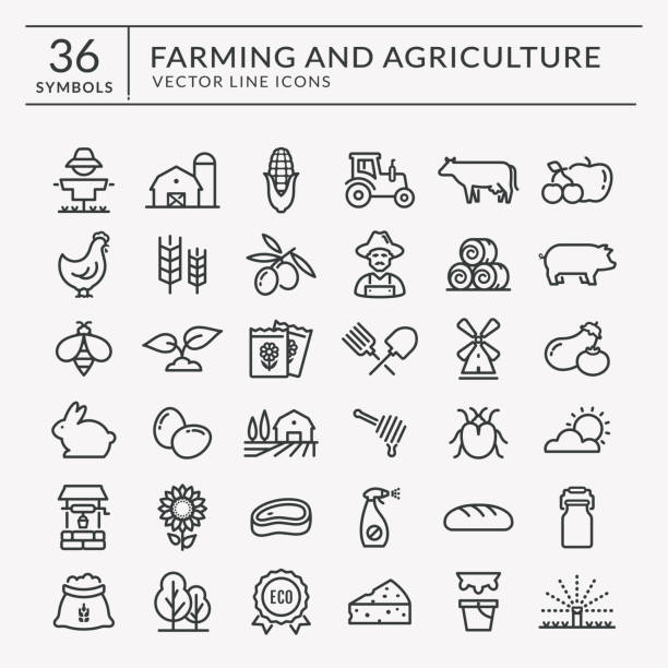 Farm and agriculture vector line icons. Farming and agriculture web line icon set. Vector isolated farm and countryside outline symbols: cereal crop, fruits, vegetables, natural dairy products, fresh meal, animals, plants, tools, equipment. agro stock illustrations