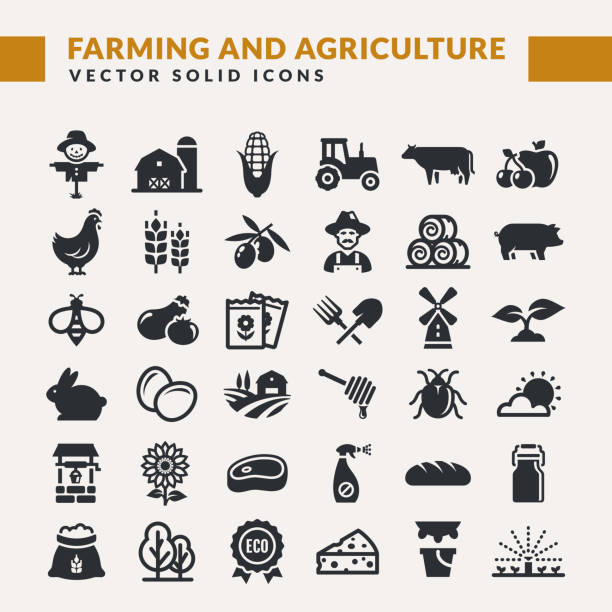 Farming and agriculture vector icons. Farming and agriculture web icon set. Vector isolated farm and countryside symbols: cereal crop, fruits, vegetables, natural dairy products, fresh meal, animals, plants, tools, equipment, buildings. meat icons stock illustrations