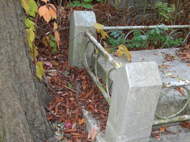istock Cemetery architecture, monuments, tombstones and graves 1054635972