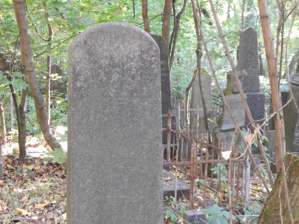 istock Cemetery architecture, monuments, tombstones and graves 1054636964