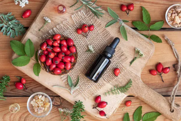 A bottle of rosehip seed oil with sage, wormwood, winter savory and other herbs on a wooden background