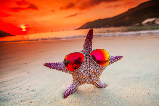 istock Starfish in sunglasses on beach 1054642576
