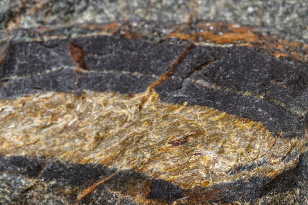 Macro mineral stone Snake eye in the rock a white background