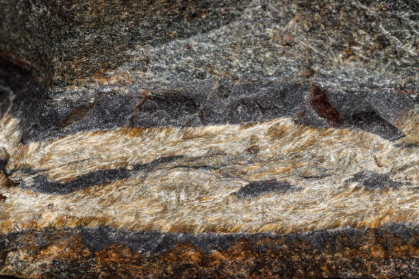 istock Macro mineral stone Snake eye in the rock a white background 1054644882