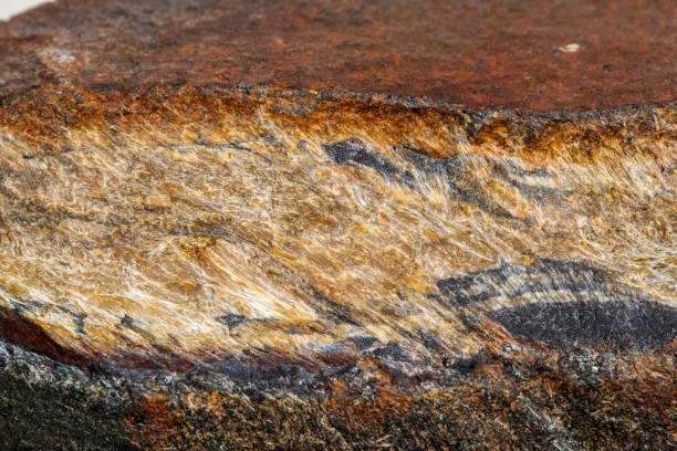 istock Macro mineral stone Snake eye in the rock a white background 1054644950