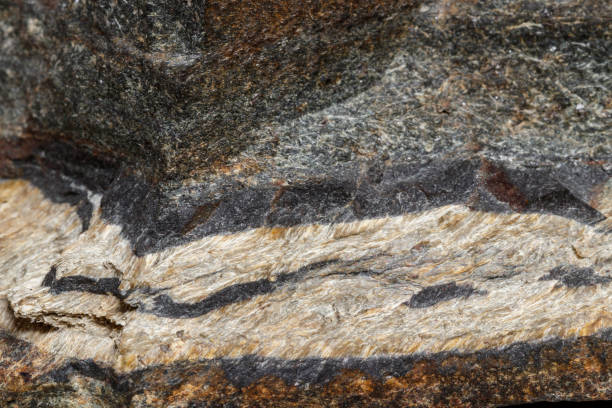istock Macro mineral stone Snake eye in the rock a white background 1054644964