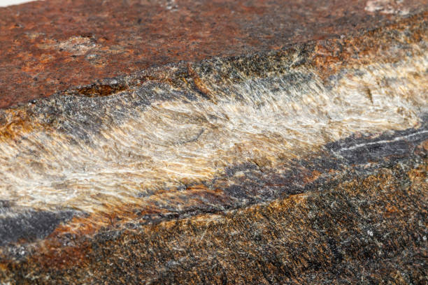 istock Macro mineral stone Snake eye in the rock a white background 1054645078
