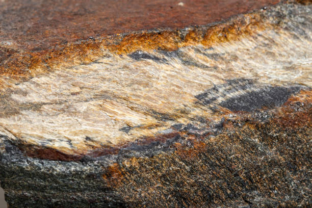 Macro mineral stone Snake eye in the rock a white background