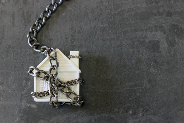leash and collar in front of white background