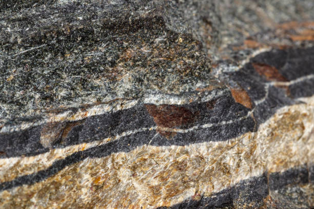 istock Macro mineral stone Snake eye in the rock a white background 1054645260