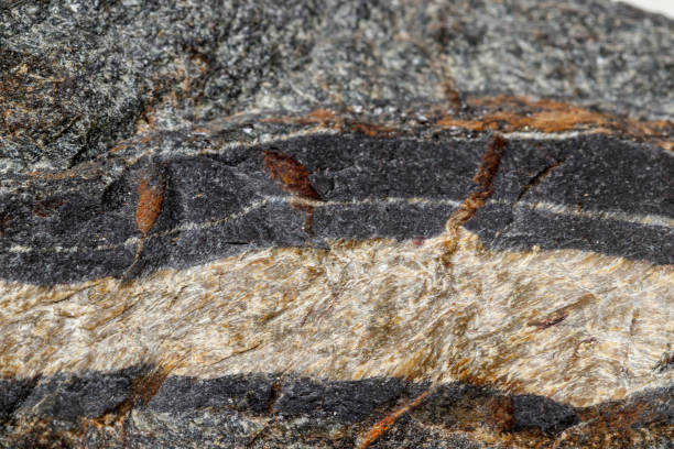 istock Macro mineral stone Snake eye in the rock a white background 1054645344