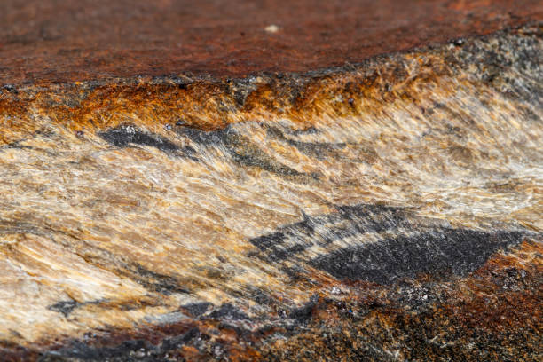istock Macro mineral stone Snake eye in the rock a white background 1054645502