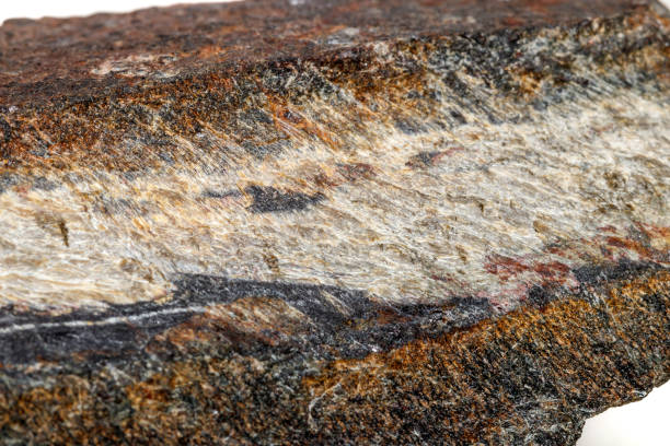 istock Macro mineral stone Snake eye in the rock a white background 1054645550